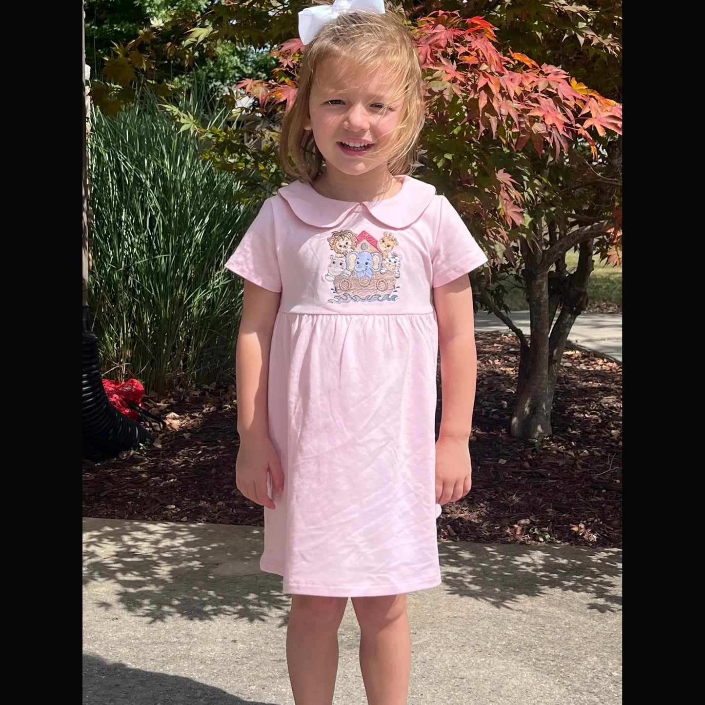 Noah's Ark Toddler Dress