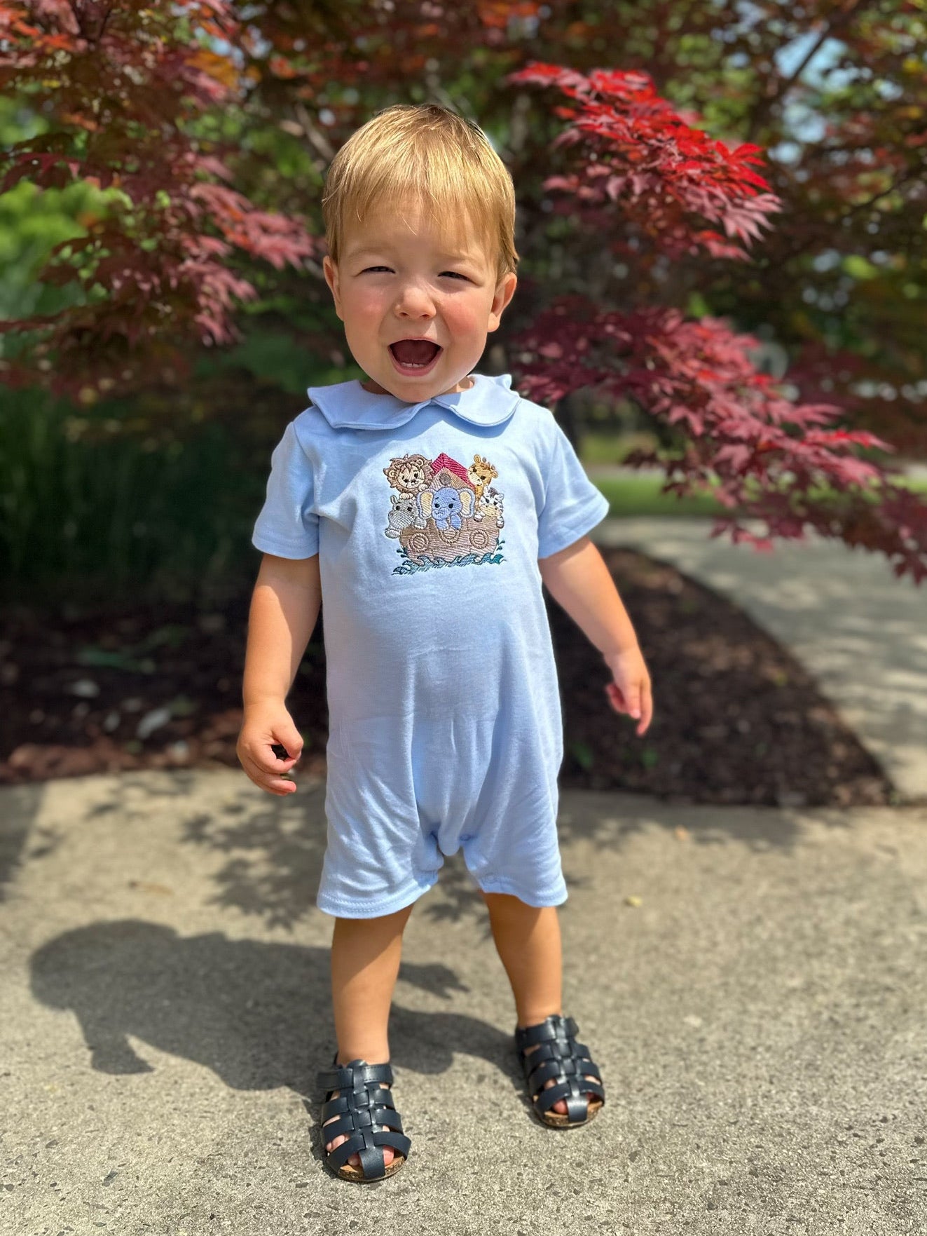 Boy's Noah's Ark Romper