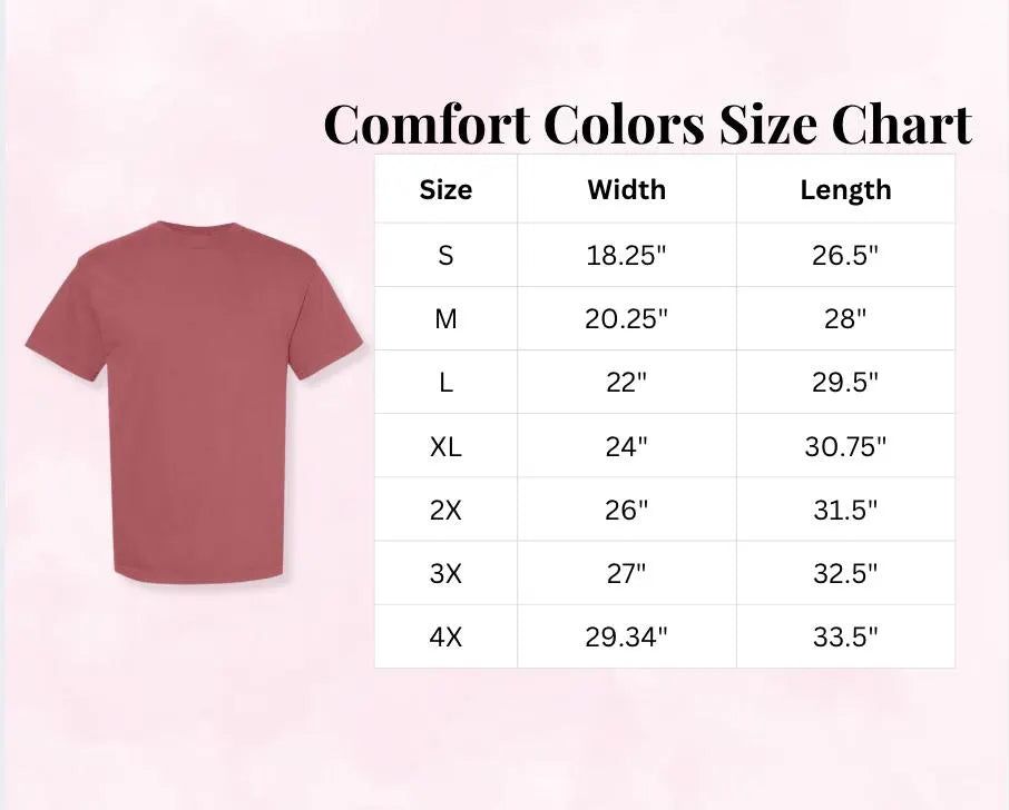 Embroidered Mississippi Comfort Colors Tee